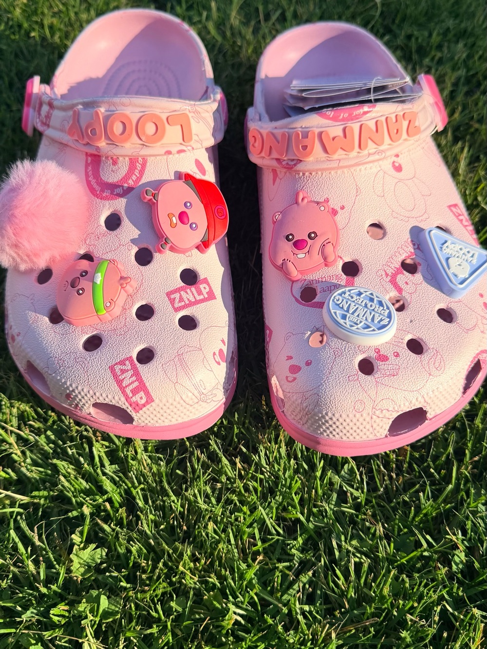 CROCS Kids Pink Clogs with Playful Character Charms